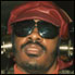 Stevie Wonder
