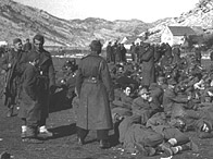 Partisan fighters guard 200 prisoner at Ledenice, 1944