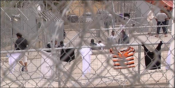 migrants_595.jpg