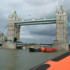 Speed boat ride