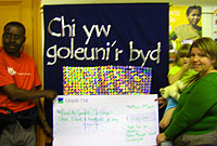 Cyflwyno siec