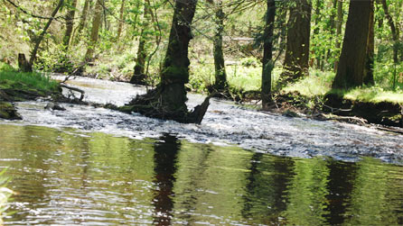 river.jpg