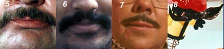 Tashe Match Special quiz