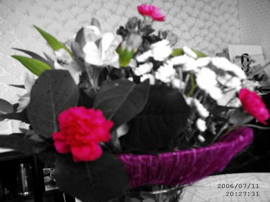 Flower cross