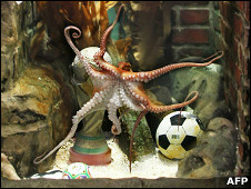 Pulpo Paul
