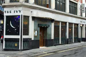 theivy.jpg