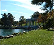 Plymouth Rock 