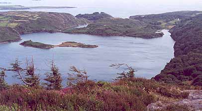 Loch Hyne