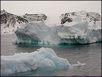 The icebergs are huge