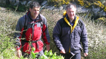 St David's walk