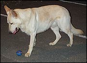 Milo