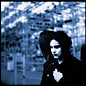 Review of Blunderbuss