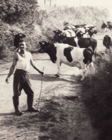 Francesco Torado