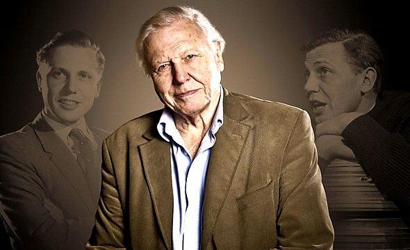 RichardAttenborough_eTomBewell_resized.jpg