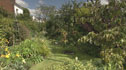 Gillian Hadland's garden