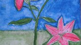 3 lilys