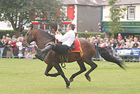 Gwyl y Cobiau