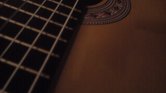 Guitar Body