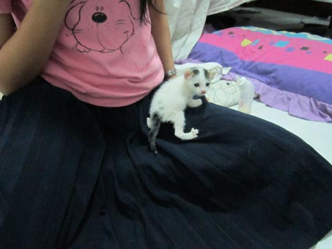 Cute Midi