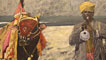 Aran Pitter's Indian Musician with Bull