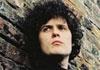 Fratellis