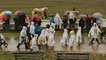 Parade of Prize Winning Horses