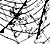 synoptic chart