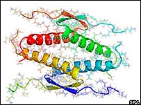 Gene p53