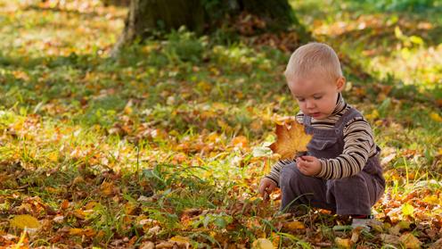 Outdoor play