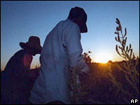 farmers203.jpg