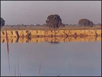 village_canal203.jpg