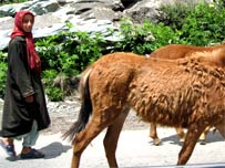 blo_nayeema_girl203.jpg