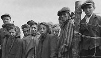 After the liberation of Belsen, hungry internees wait at the cook house gate for their rations