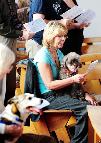 petsinchruch424pa.jpg