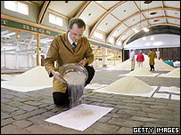 rice.203.jpg