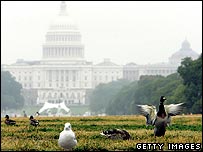 dc.jpg
