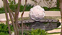 The Cancer Research UK Garden