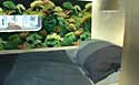 Sleeping area