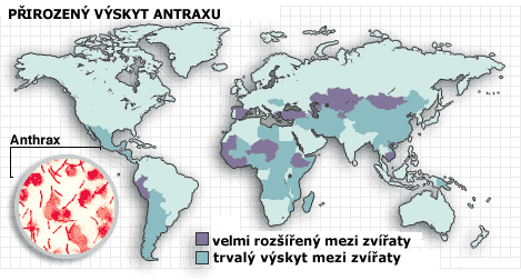Disease origins