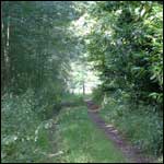 Footpath