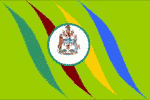 Flag Number 11