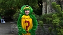 WHAT FROG? PART 2