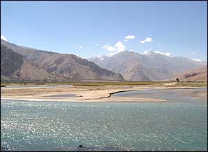 زيباک