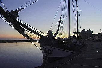 the Albatros.