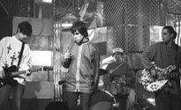 Stone Roses