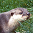 Orford Ness (Image: Otter)