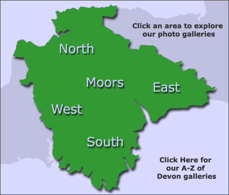 County Map