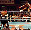 Lewis v McCall, 1994