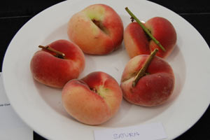 flat_peaches.jpg