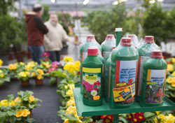 garden centre